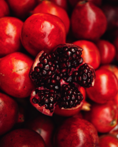 Beginning Our Homesteading Journey